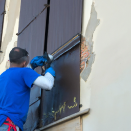 Crépis : optez pour une façade rustique et chaleureuse Selestat